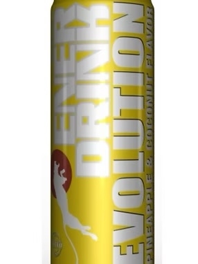 EVOLUTION DE PIÑA Y COCO 250ml x24